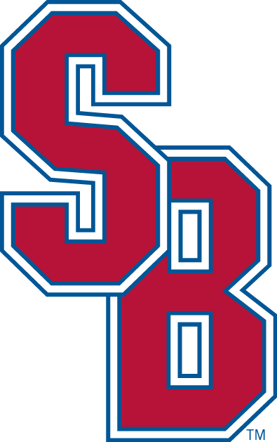 Stony Brook Seawolves 2008-Pres Primary Logo iron on transfers for T-shirts